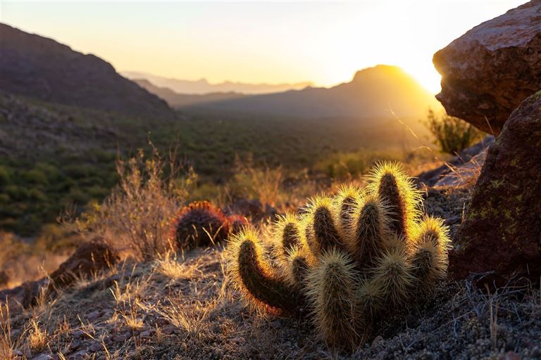 Discover the West © SVDPhoto/adobestock